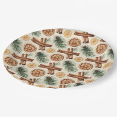 Dry Oranges Cinnamon Sticks Fir Branches ペーパープレート (アングル)