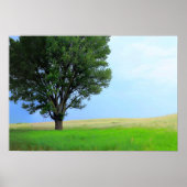 Dry Storm Over Oklahoma Grasslands III (Col Sat) ポスター (正面)