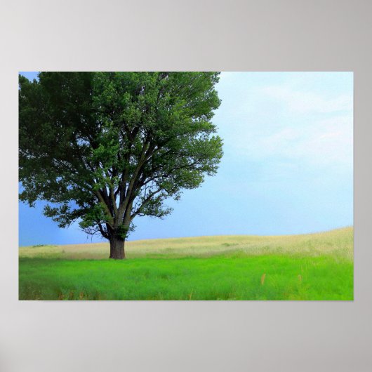 Dry Storm Over Oklahoma Grasslands III (Col Sat) ポスター (正面)