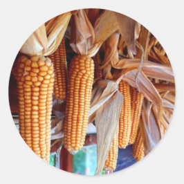 Dry Whole Ear Corn with Husks ラウンドシール