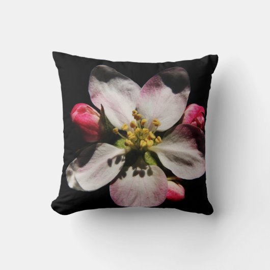 DSヒマワリまたはリンゴ花のトップアーク3 クッション (正面)