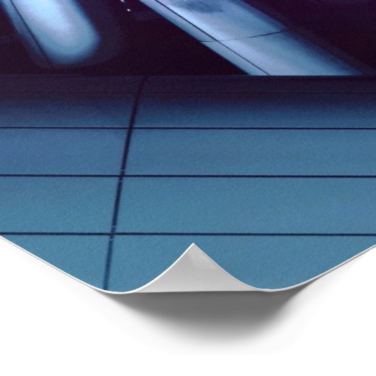 DSポスター01 ポスター (角)