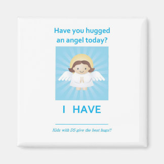 DS天使 マグネット