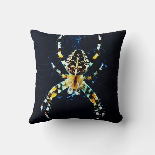 DS黒または白の戻り可能スパイダーtpcnm クッション (裏面)