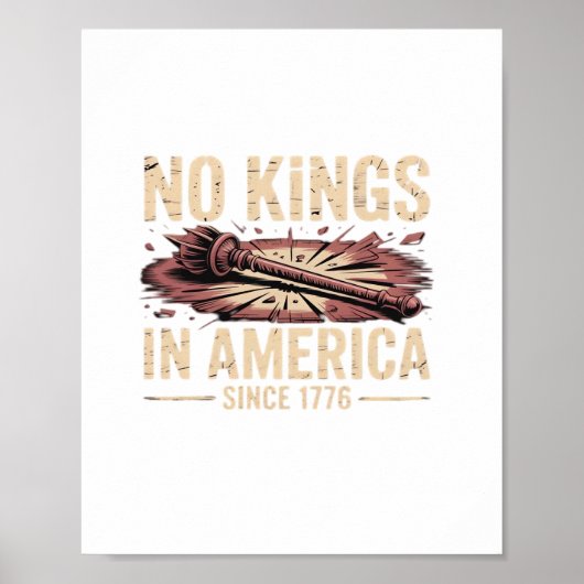 ds ポスター (正面)