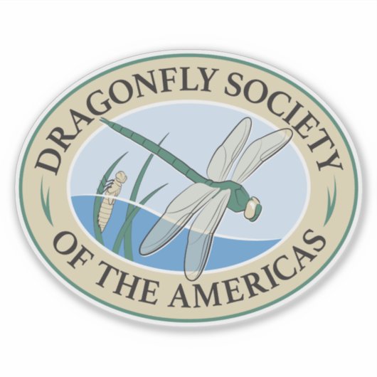 DSA Transparent Logoデカール シール (正面)