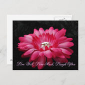 DSC00005 (2)、ライブ井戸、愛の多くは、笑い頻繁 ポストカード (正面/裏面)