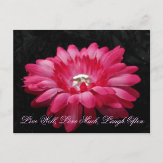 DSC00005 (2)、ライブ井戸、愛の多くは、笑い頻繁 ポストカード