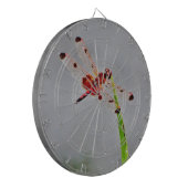 DSC00029.JPG ダーツボード (正面左)