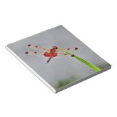 DSC00029.JPG ノートパッド (アングル)