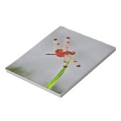 DSC00029.JPG ノートパッド (回転)