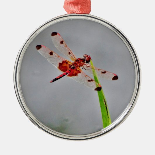 DSC00029.JPG メタルオーナメント (正面)