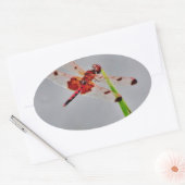 DSC00029.JPG 楕円形シール (封筒)