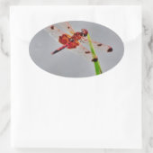 DSC00029.JPG 楕円形シール (バッグ)