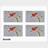 DSC00029.JPG 長方形シール (シート)