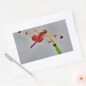 DSC00029.JPG 長方形シール (封筒)