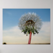 DSC00033 ポスター (正面)