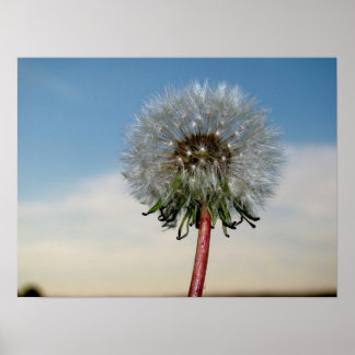 DSC00033 ポスター