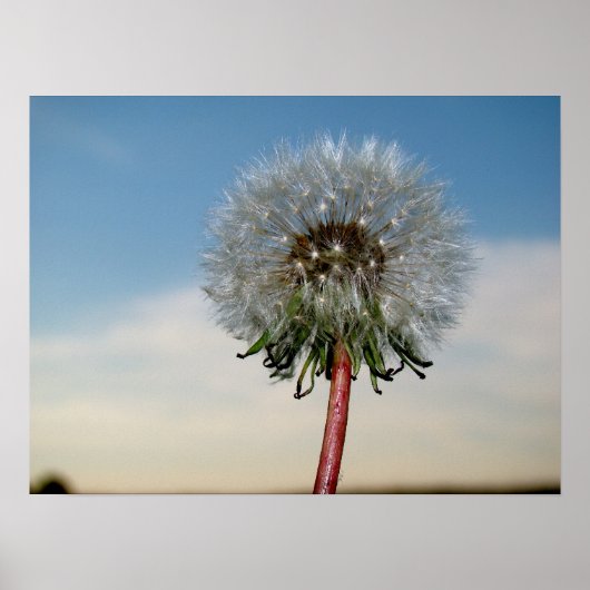 DSC00033 ポスター (正面)