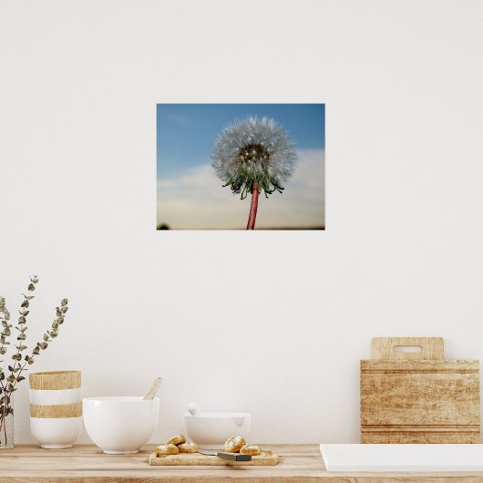 DSC00033 ポスター (キッチン)