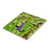 DSC00059.JPG タイル (側面)