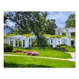 DSC00070-2-Arlingtonハウスガーデン フォトプリント