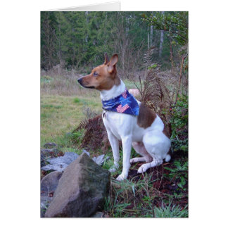 DSC00088ラット犬リック