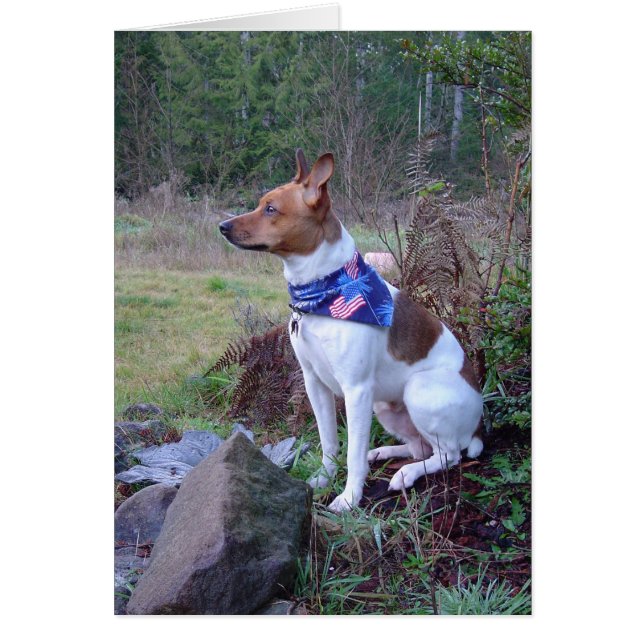 DSC00088ラット犬リック (正面)