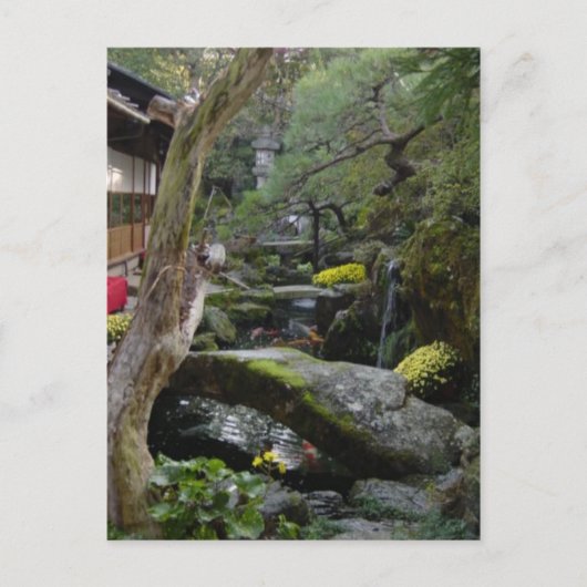 DSC00095 ポストカード (正面)