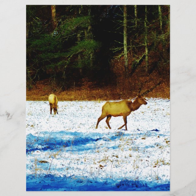 DSC00131.JPG (正面)