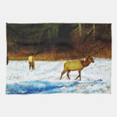 DSC00131.JPG キッチンタオル (横)