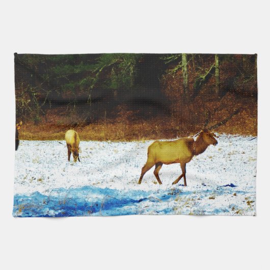 DSC00131.JPG キッチンタオル (横)