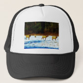 DSC00131.JPG キャップ (正面)