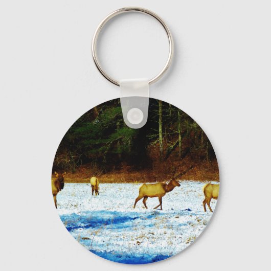 DSC00131.JPG キーホルダー (正面)