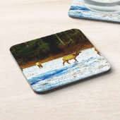 DSC00131.JPG コースター (左側)