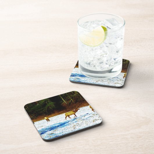 DSC00131.JPG コースター (右側)