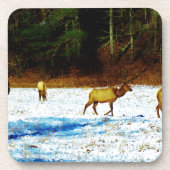 DSC00131.JPG コースター (正面)