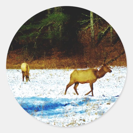 DSC00131.JPG シール (正面)