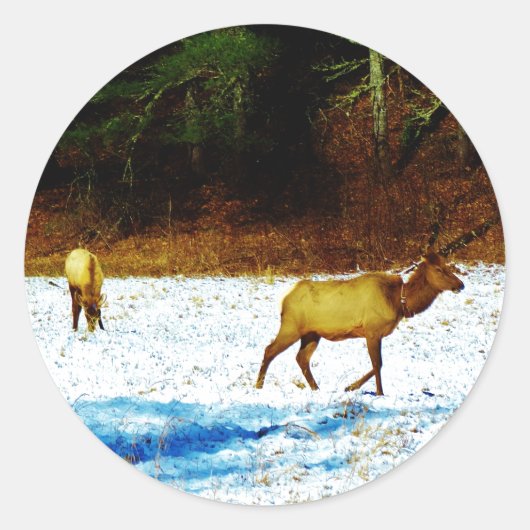 DSC00131.JPG シール (正面)