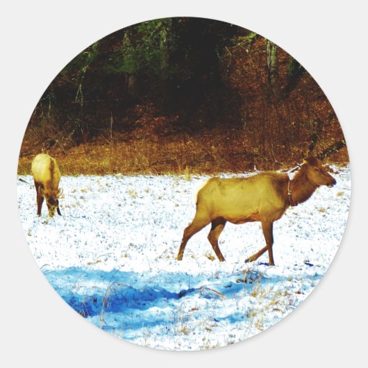 DSC00131.JPG シール (正面)