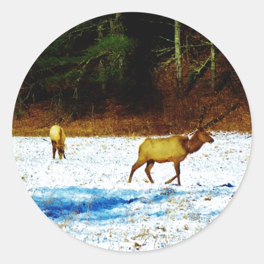 DSC00131.JPG シール (正面)