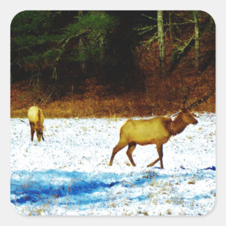 DSC00131.JPG シール