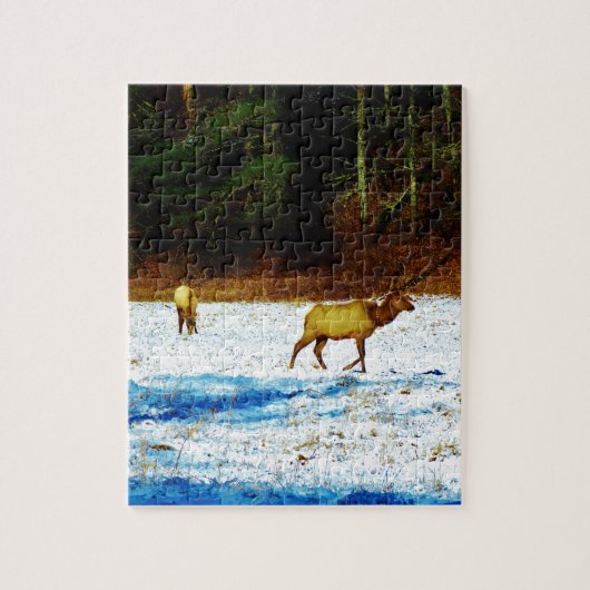 DSC00131.JPG ジグソーパズル (縦)