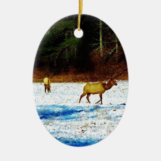 DSC00131.JPG セラミックオーナメント (正面)