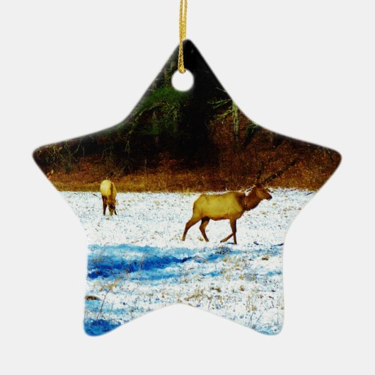 DSC00131.JPG セラミックオーナメント (正面)