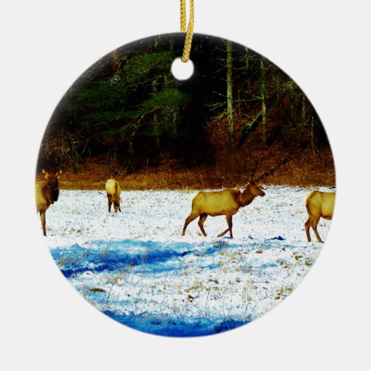 DSC00131.JPG セラミックオーナメント (正面)