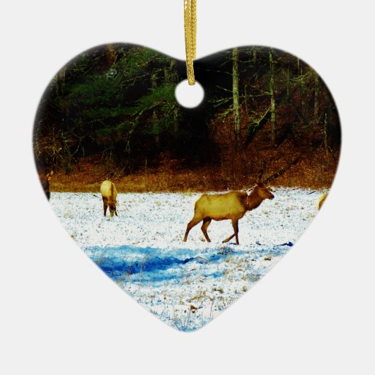 DSC00131.JPG セラミックオーナメント (正面)