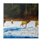 DSC00131.JPG タイル (正面)