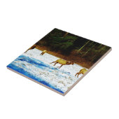 DSC00131.JPG タイル (側面)