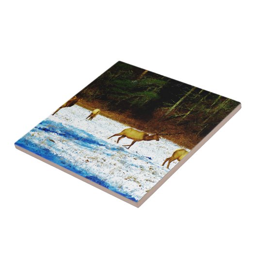 DSC00131.JPG タイル (側面)